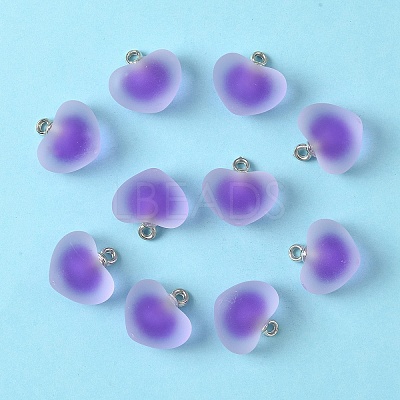10Pcs Frosted Resin Pendants RESI-YW0004-45B-1