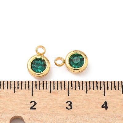 304 Stainless Steel Charms STAS-Z115-01G-17-1