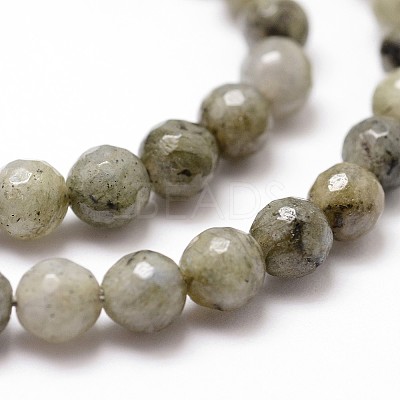Natural Labradorite Beads Strands G-G736-04-6mm-1
