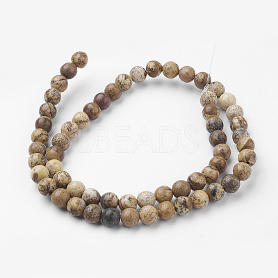 Natural Picture Jasper Bead Strands G-G735-16-6mm-1