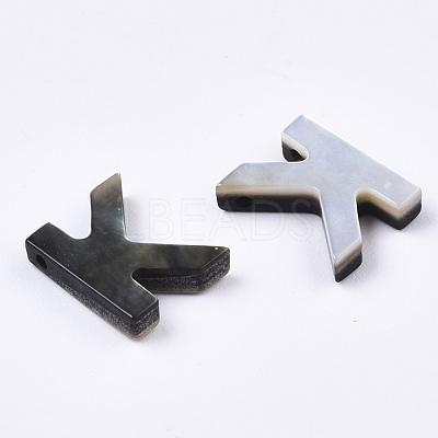 Natural Black Lip Shell Beads X-SSHEL-S265-001K-1