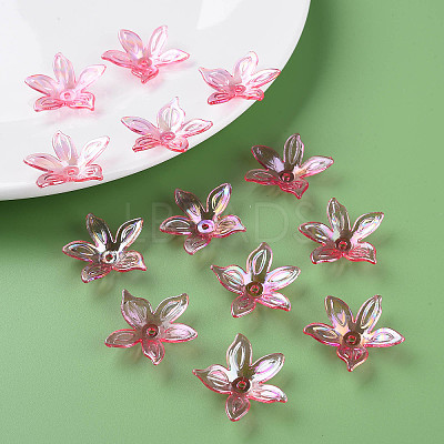 Transparent Acrylic Beads MACR-S373-102-C-1