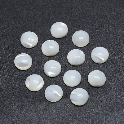 Shell Cabochons SSHEL-P015-61-12mm-1