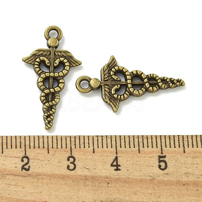 Tibetan Style Alloy Pendants TIBE-I026-6007AB-1