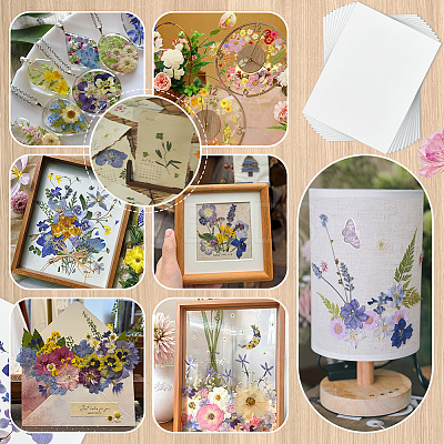 Dried Embossed Paper DIY-WH0622-646A-1