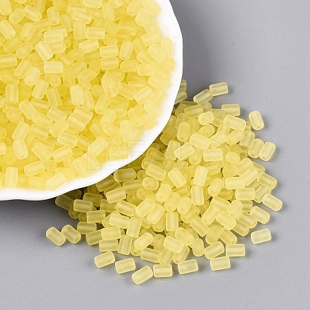 FGB Frosted Transparent Glass Seed Beads SEED-N013-05A-02-1