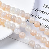 Natural Crackle Agate Beads Strands G-S359-240B-2-5