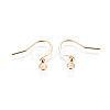 304 Stainless Steel Earring Hooks X-STAS-I120-22A-G01-2