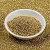 MIYUKI Round Rocailles Beads SEED-G009-RR0578-2