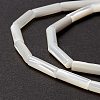 Natural Trochid Shell/Trochus Shell Beads X-SSHEL-O001-26B-3