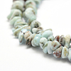 Natural Larimar Beads Strands G-P302-03-3