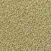 TOHO Round Seed Beads SEED-JPTR15-PF0559-2
