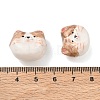Handmade Polymer Clay Beads PY-CBABDB7-04F-3