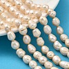 Natural Cultured Freshwater Pearl Beads Strands PEAR-I007-01E-01B-1