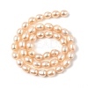 Natural Cultured Freshwater Pearl Beads Strands PEAR-I007-01D-01B-3