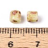 Baking Paint Glass Seed Beads SEED-N009-02E-3
