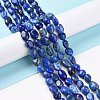 Natural Lapis Lazuli Beads Strands G-F575-01E-6