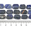 Natural Sodalite Beads Strands G-C098-A08-01-5