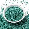 MIYUKI Round Rocailles Beads SEED-X0055-RR0435-2
