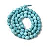 Dyed Natural Howlite Beads Strands G-K376-F06-01-3