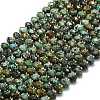 Natural African Turquoise(Jasper) Beads Strands G-P573-A29-01-2