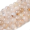 Dyed & Heated Natural Agate Beads Strands G-P539-D01-01-1