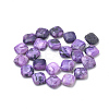 Natural Crazy Agate Beads Strands X-G-Q974-14A-2