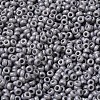 Baking Paint Glass Seed Beads SEED-P006-03A-27-3