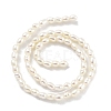 Natural Cultured Freshwater Pearl Beads Strands PEAR-P062-22-3