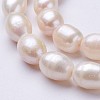 Natural Cultured Freshwater Pearl Beads Strands PEAR-P002-13-01-3