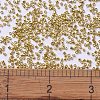 MIYUKI Delica Beads X-SEED-J020-DB1832-4