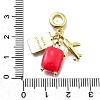 Brass Cerise Enamel Airplane Luggage Passport European Dangle Charms KK-K400-31G-3