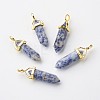 Natural Blue Spot Jasper Double Terminated Pointed Pendants G-G902-B04-4