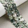 Natural Green Spot Jasper  Beads Strands G-M403-A22-03-1