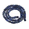 Dyed Natural Lapis Lazuli Beads Strands G-M403-A30-01-3
