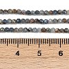 Natural Kyanite Beads Strands LS-G-RM2025-A34-2mm-5
