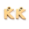 304 Stainless Steel Pendants STAS-F267-10K-G-2