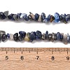 Natural Sodalite Chips Beads Strands X-F024-7