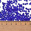 Transparent Colours Glass Seed Beads SEED-P006-02A-16-4