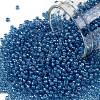 TOHO 11/0 Round Beads X-SEED-TR11-0309-1