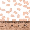 FGB Frosted Transparent Glass Seed Beads SEED-N013-05A-04-4