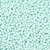 6/0 Glass Seed Beads X1-SEED-L011-08A-14-3