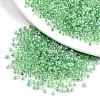 8/0 Glass Seed Beads SEED-A015-3mm-2207-1