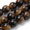 Natural Tiger Eye Beads Strands G-S259-21-12mm-1