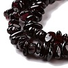 Natural Garnet Beads Strands F065-01-4