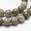 Natural Labradorite Beads Strands G-G736-04-8mm-3