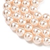 Electroplated Shell Pearl Beads Strands BSHE-G041-10mm-04-3