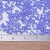 MIYUKI Delica Beads SEED-JP0008-DB0167-4