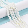 Electroplate Opaque Solid Color Glass Beads Strands LS-EGLA-A034-P1mm-L17-5