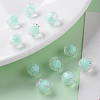 Transparent Acrylic Beads TACR-S152-04A-SS2111-6
